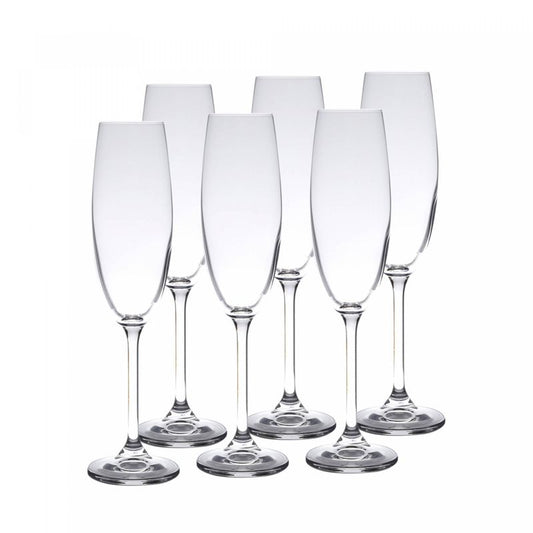 Conjunto 6 Taças de Champanhe de Cristal Ecológico Gastro/Colibri 220ml - Wolff